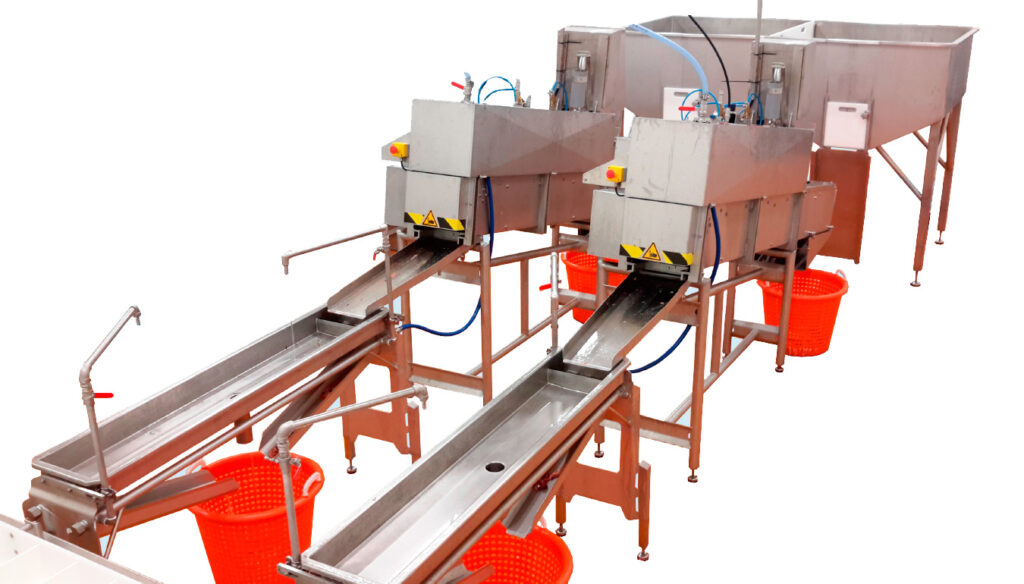 Fish Gutting Machine Faguri